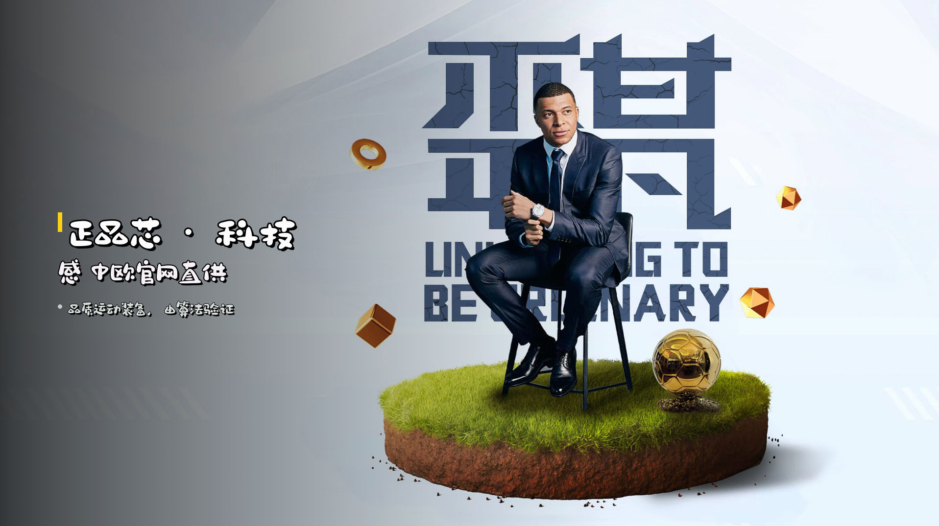 <strong>正品芯 · 科技感</strong> 中欧官网直供